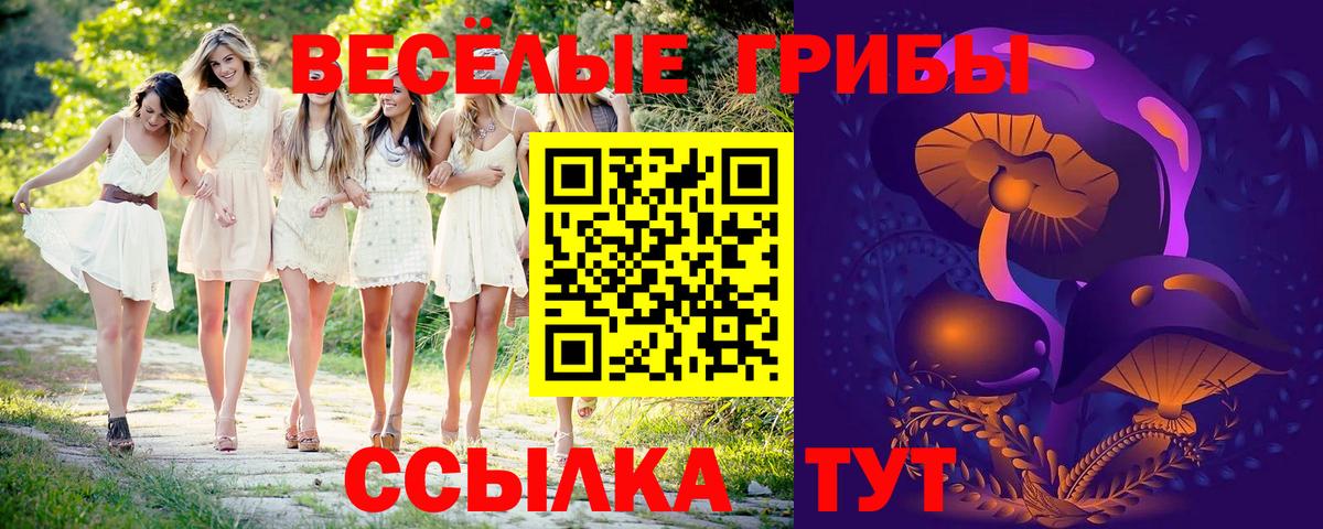Псилоцибиновые грибы ЛСД Апатиты